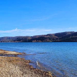 Ufer Wangen